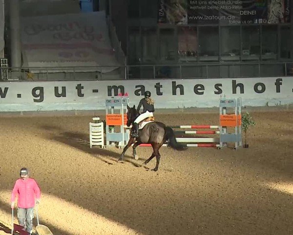 Reitturnier Kreuth/Opf. 2024