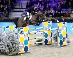 jumper Kegerona van Beek (KWPN (Royal Dutch Sporthorse), 2015, from Fantomas de Muze)