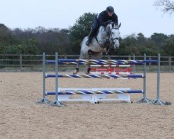 jumper NFS Peaches (anglo european sporthorse, 2017, from Hector van d'Abdijhoeve)