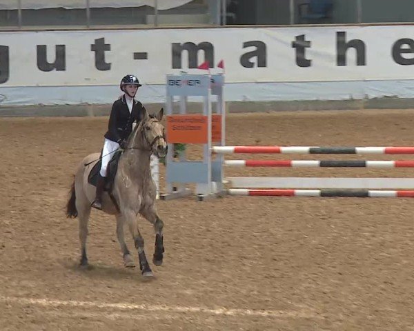 Reitturnier Kreuth/Opf. 2024