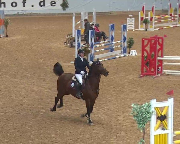Reitturnier Kreuth/Opf. 2024
