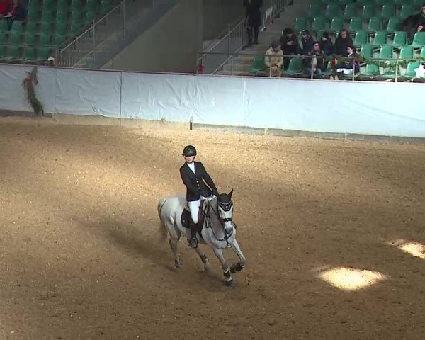 Reitturnier Kreuth/Opf. 2024