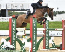 jumper Miss Tangelo (unknown, 2012, from Tangelo van de Zuuthoeve)