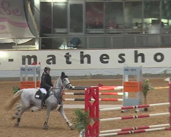 Reitturnier Kreuth/Opf. 2024