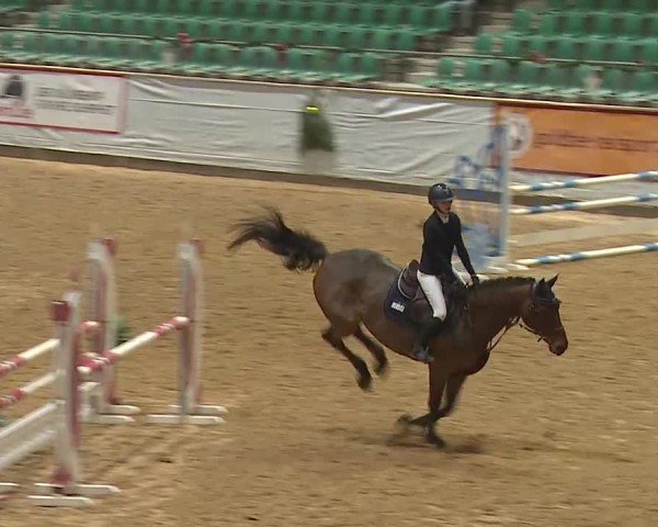 Reitturnier Kreuth/Opf. 2024