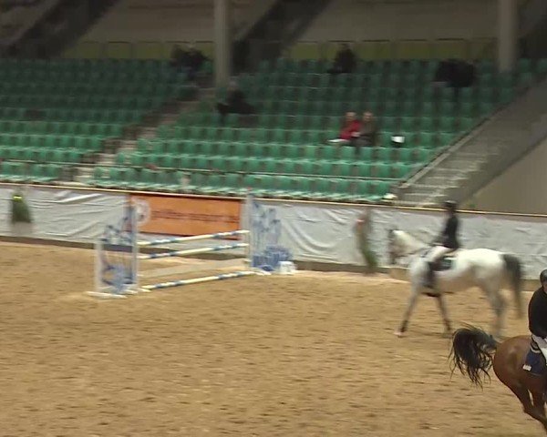 Reitturnier Kreuth/Opf. 2024