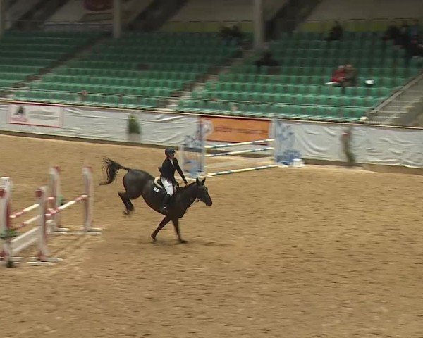 Reitturnier Kreuth/Opf. 2024