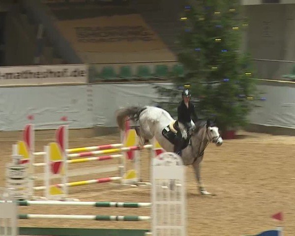 Reitturnier Kreuth/Opf. 2024
