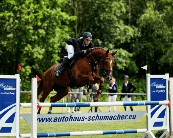 jumper Ducoeur (Hanoverian, 2015, from Donatus)