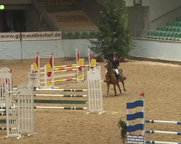 Reitturnier Kreuth/Opf. 2024