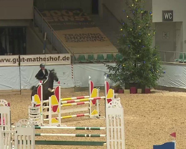 Reitturnier Kreuth/Opf. 2024