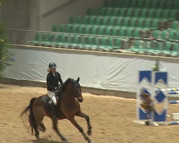 Reitturnier Kreuth/Opf. 2024