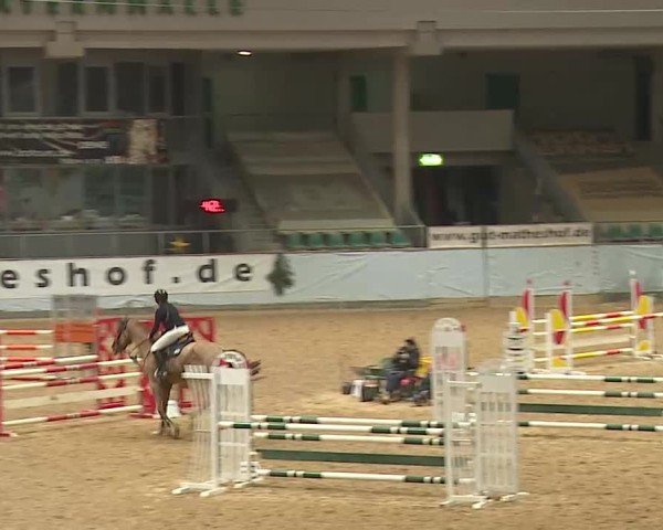 Reitturnier Kreuth/Opf. 2024