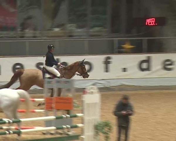 Reitturnier Kreuth/Opf. 2024