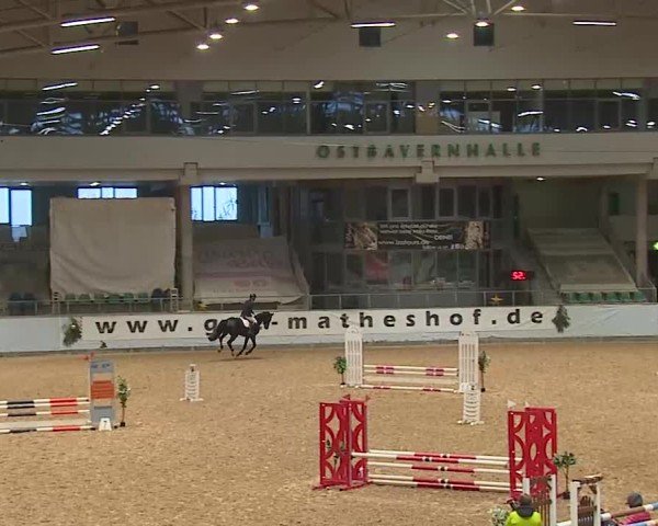 Reitturnier Kreuth/Opf. 2024
