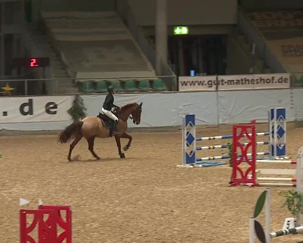 Reitturnier Kreuth/Opf. 2024