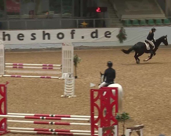 Reitturnier Kreuth/Opf. 2024