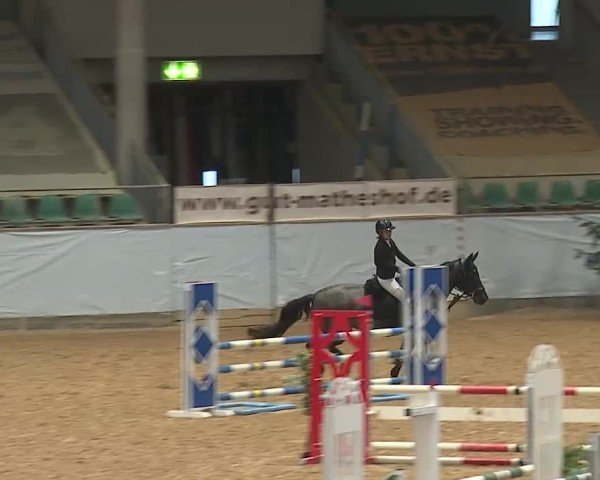 Reitturnier Kreuth/Opf. 2024