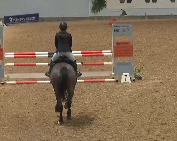 Reitturnier Kreuth/Opf. 2024