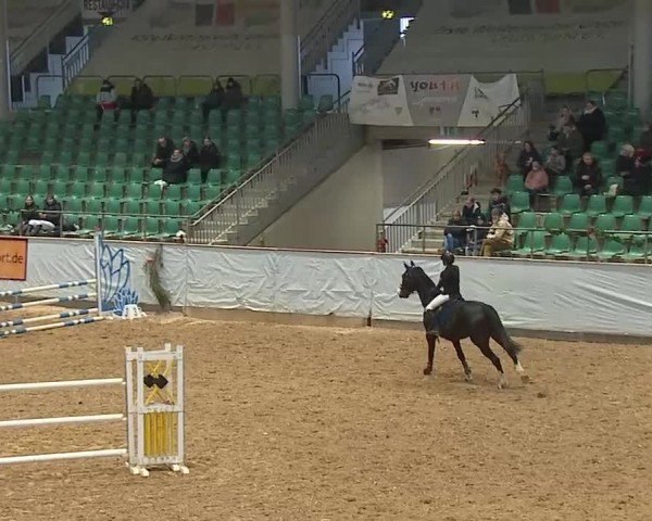 Reitturnier Kreuth/Opf. 2024