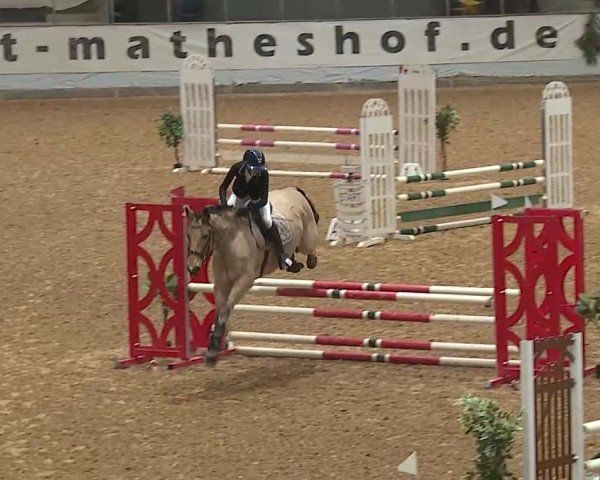 Reitturnier Kreuth/Opf. 2024