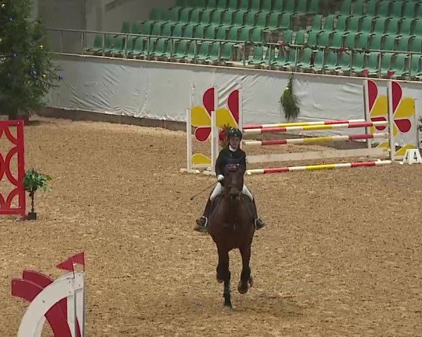 Reitturnier Kreuth/Opf. 2024