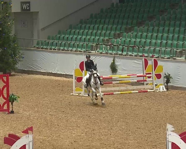 Reitturnier Kreuth/Opf. 2024