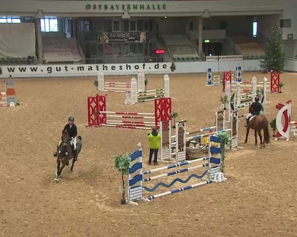 Reitturnier Kreuth/Opf. 2024