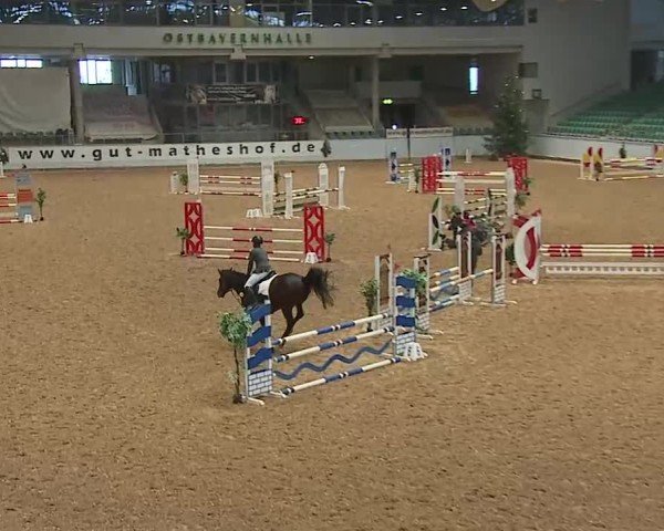 Reitturnier Kreuth/Opf. 2024