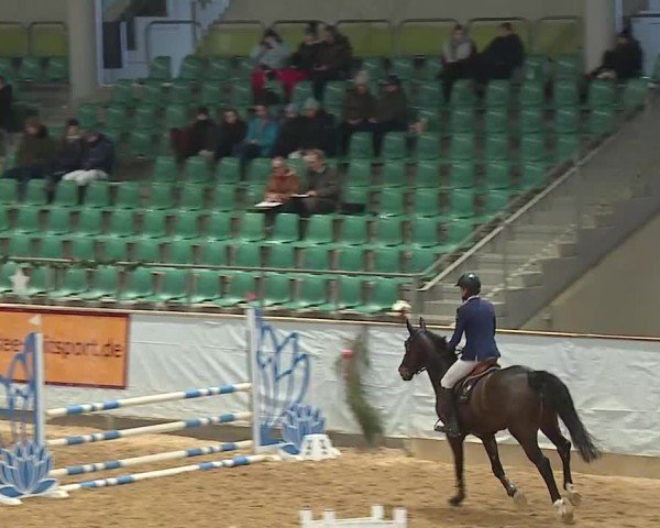 Reitturnier Kreuth/Opf. 2024