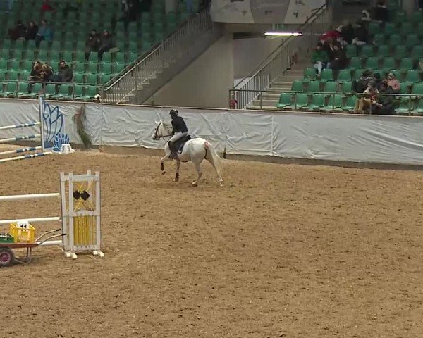 Reitturnier Kreuth/Opf. 2024