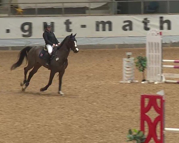Reitturnier Kreuth/Opf. 2024