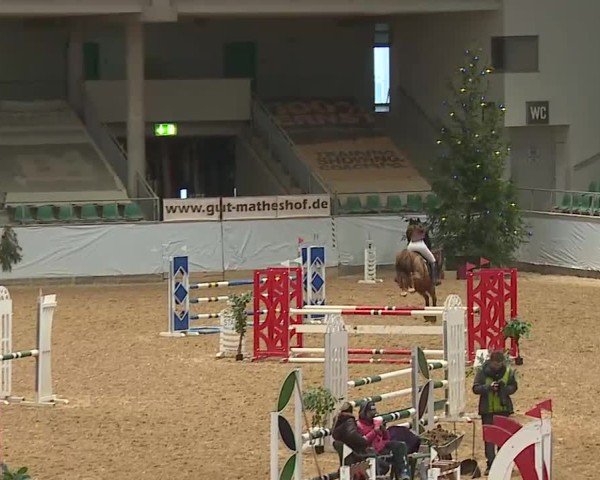Reitturnier Kreuth/Opf. 2024