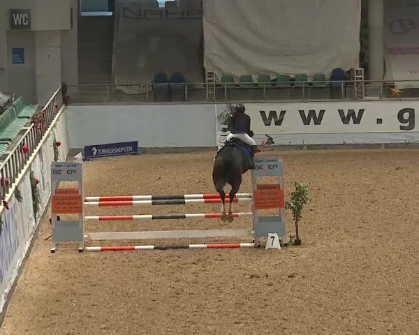 Reitturnier Kreuth/Opf. 2024