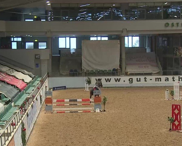 Reitturnier Kreuth/Opf. 2024