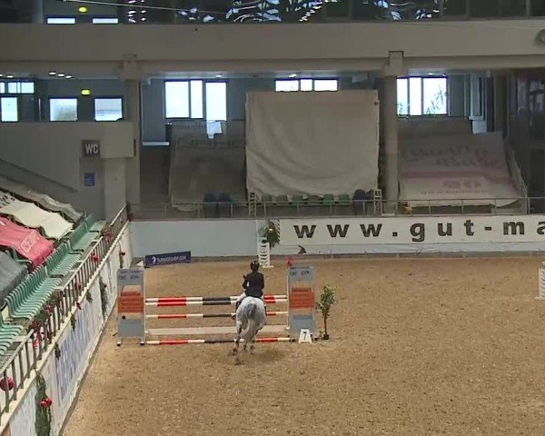 Reitturnier Kreuth/Opf. 2024