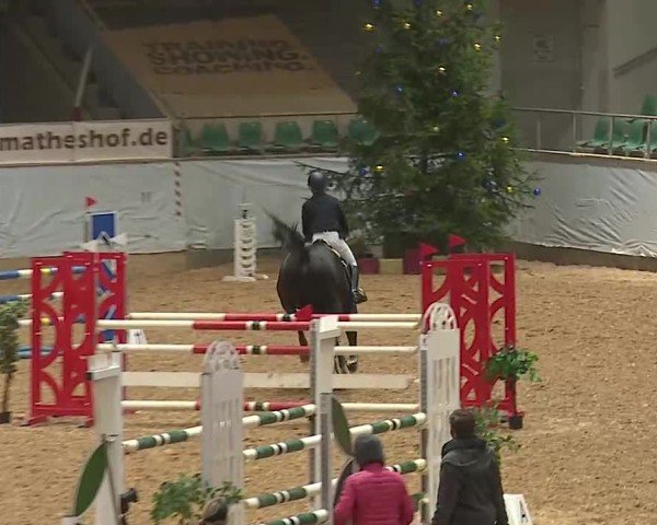 Reitturnier Kreuth/Opf. 2024