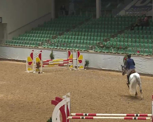Reitturnier Kreuth/Opf. 2024