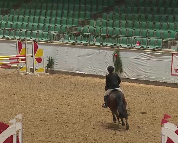 Reitturnier Kreuth/Opf. 2024