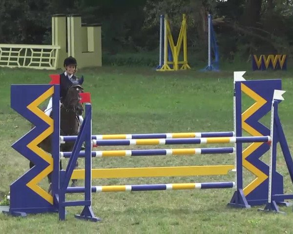 Radolfzell 2013 - Reit- und Springturnier des RC Bodenseereiter