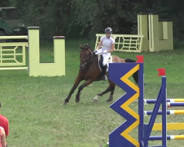 Radolfzell 2013 - Reit- und Springturnier des RC Bodenseereiter