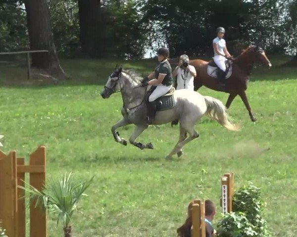 Radolfzell 2013 - Reit- und Springturnier des RC Bodenseereiter