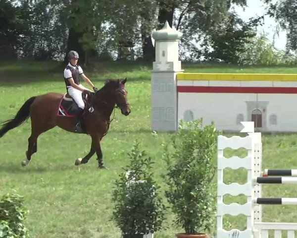 Radolfzell 2013 - Reit- und Springturnier des RC Bodenseereiter