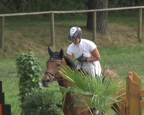 Radolfzell 2013 - Reit- und Springturnier des RC Bodenseereiter
