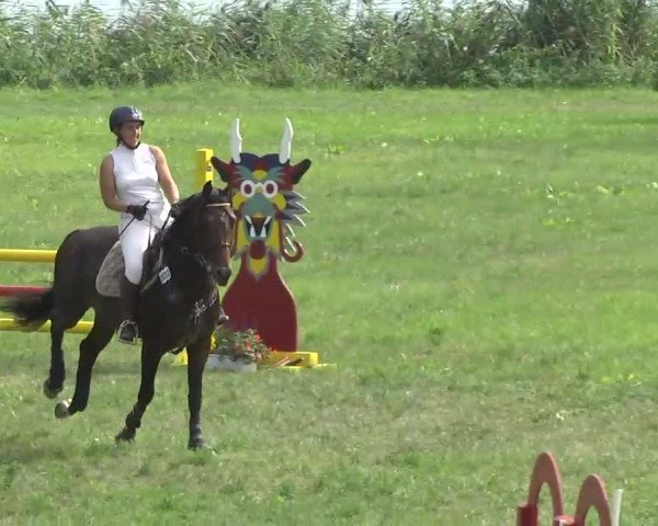 Radolfzell 2013 - Reit- und Springturnier des RC Bodenseereiter