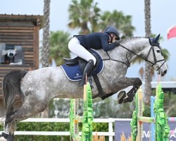 jumper Mexico du Seigneur (Belgium Sporthorse, 2018, from Gfe Exocet du Houssoit)