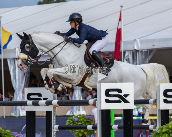 stallion Gfe Exocet du Houssoit (Belgium Sporthorse, 2010, from Ugano Sitte)