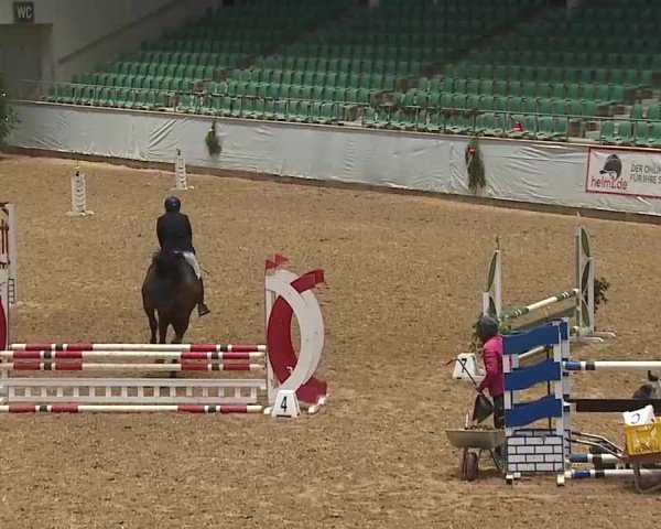 Reitturnier Kreuth/Opf. 2024