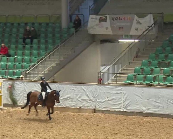 Reitturnier Kreuth/Opf. 2024