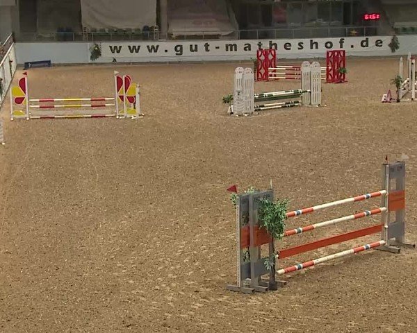 Reitturnier Kreuth/Opf. 2024